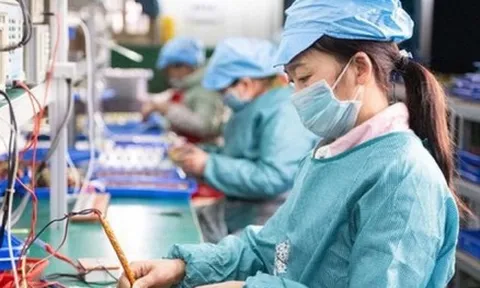 Gần 73 nghìn doanh nghiệp thành lập mới và quay trở lại hoạt động
