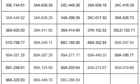Hơn 180 chủ xe chạy quá tốc độ, vượt đèn đỏ có biển số sau nhanh chóng nộp phạt nguội theo Nghị định 168